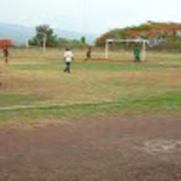 dbgkoaladoc
